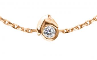 Mini Horse  - Redline