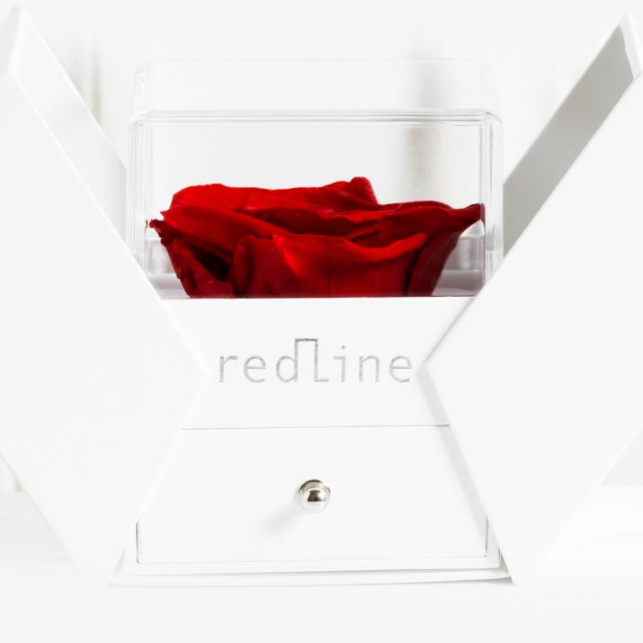 Packaging Rose 男士钢丝手链 白金 - Redline - 0++