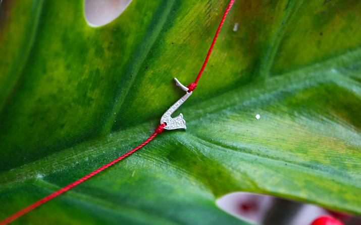 Alto 0.016克拉钻石白金绳制女士手链 - Redline - 0++