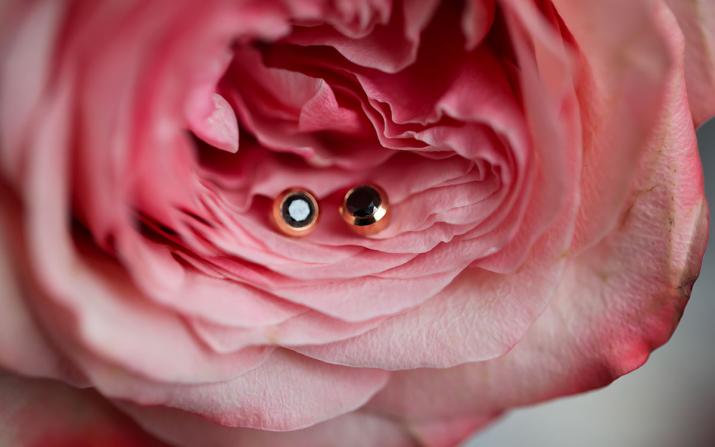 Lucky Pig 0.10克拉钻石玫瑰金耳饰 - Redline - 0++