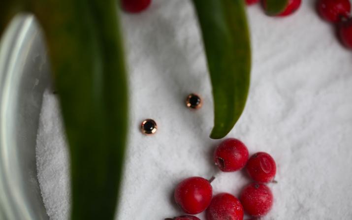 Lucky Pig 0.10克拉钻石玫瑰金耳饰 - Redline - 0++