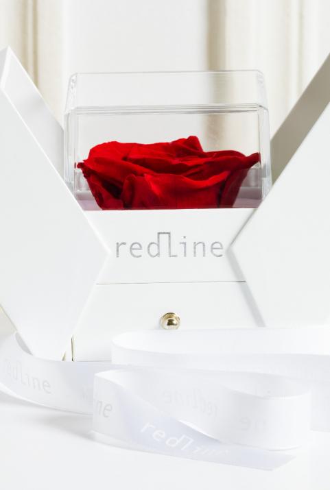 Packaging Rose 男士钢丝手链 白金 - Redline - 0++
