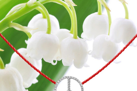 Le 8 Mai, nous célébrons le symbole de la paix