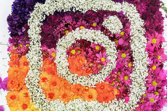 Le top des comptes Instagram vu par Redline