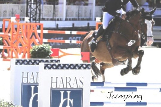 Jumping International du 24-27 Août 2017