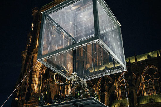 L'Industrie Magnifique