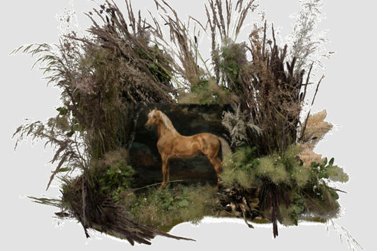 Exposition - Biennale Paris  Epiphyte, Dialogue floral