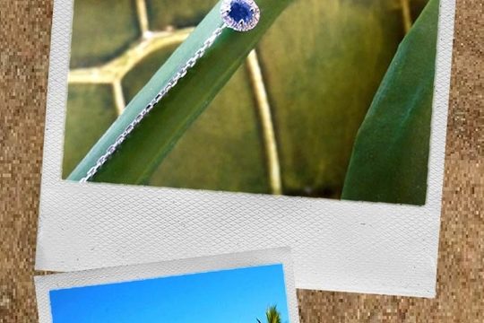 Découvrez Sophie, Redline Addict!