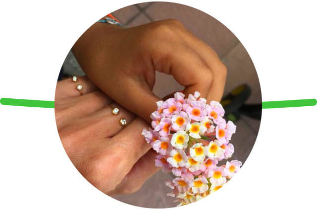 意大利女人的优雅