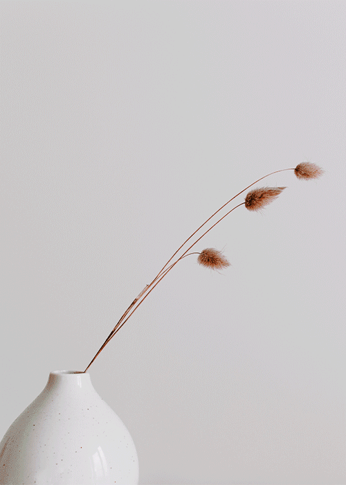 魅力与精致的象征