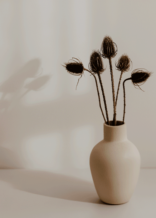 一件珠宝 一种生活方式