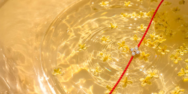 Shiny 手链，极简而永恒